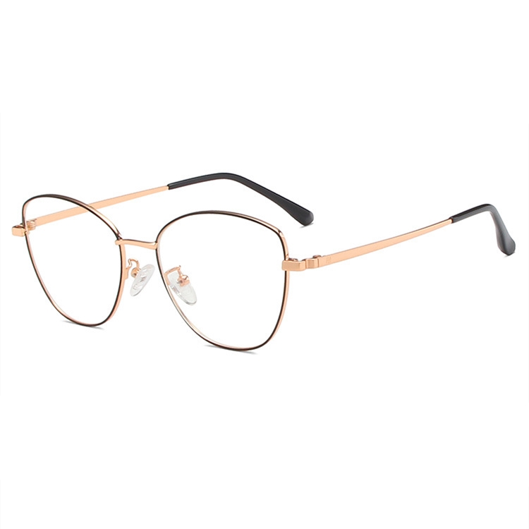 eyeglass frame (19)