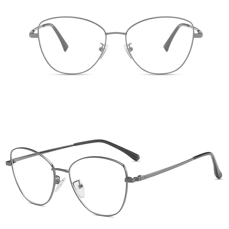 eyeglass frame (20)