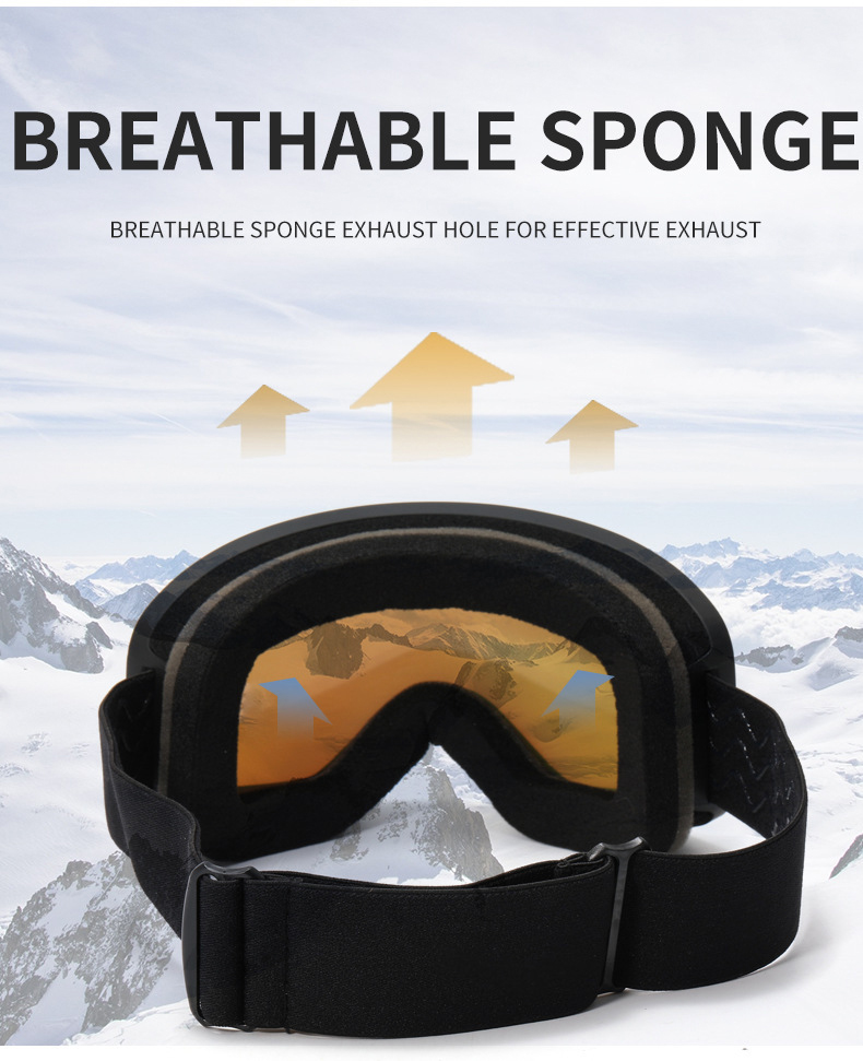 ski goggles (12)